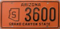 Nummernschilder / Kfz-Kennzeichen USA 1966 1960er Arizona AZ