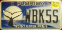Nummernschilder / Kfz-Kennzeichen USA 2002 2000er Florida FL