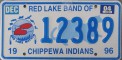 Nummernschilder / Kfz-Kennzeichen USA 1996 1990er Minesota MN tribe